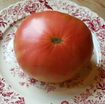 &#39;Caspian Pink&#39;