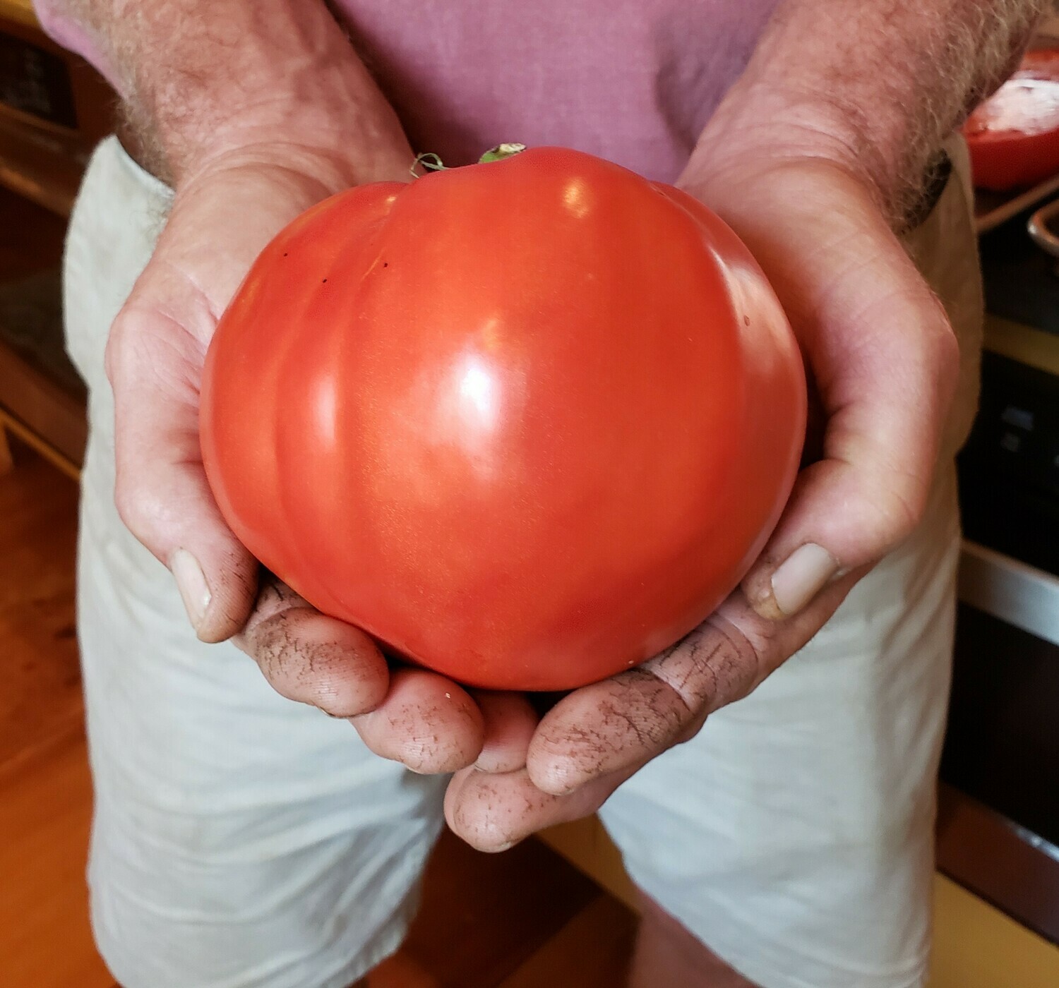 &#39;Giant Red Oxheart&#39;