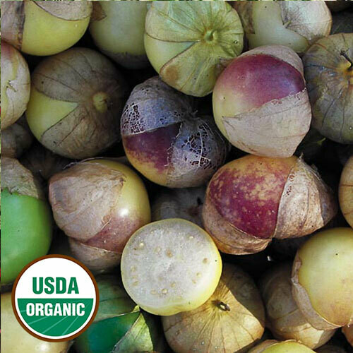 &#39;Tomatillo -  Dr. Wyche&#39;s Yellow&#39;