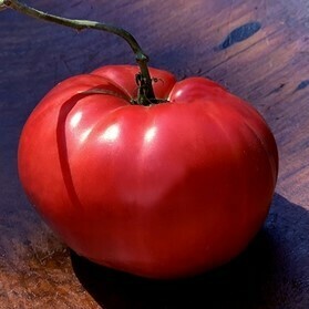 &#39;Julia Child&#39;
