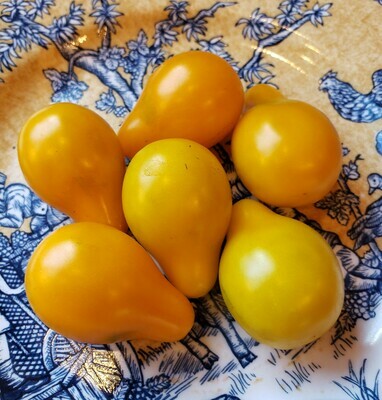 &#39;Yellow Pear&#39;