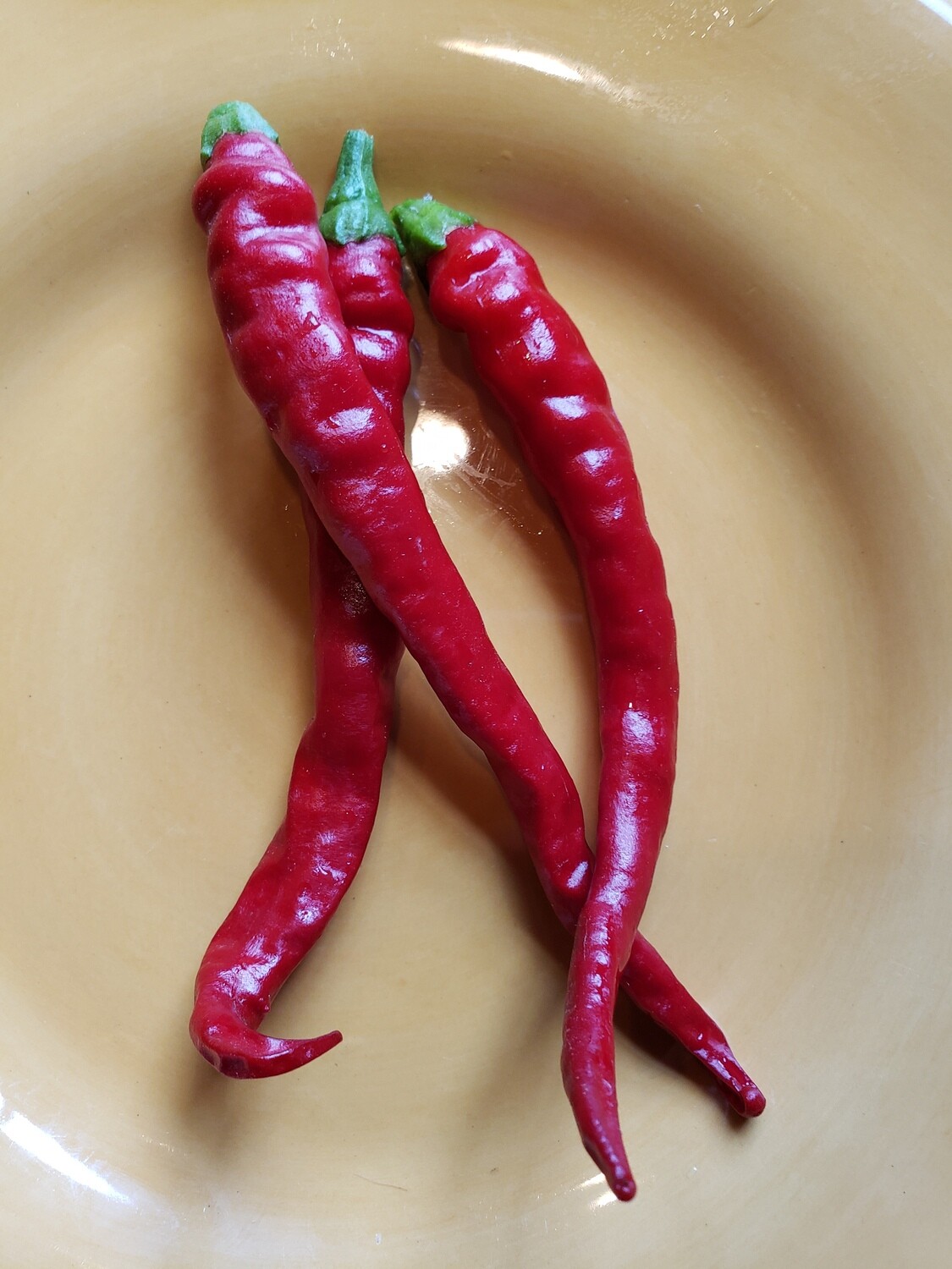 &#39;Cayenne Long Thin&#39;