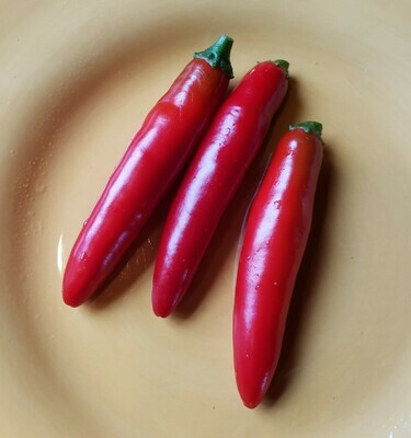 &#39;Serrano Chili&#39;