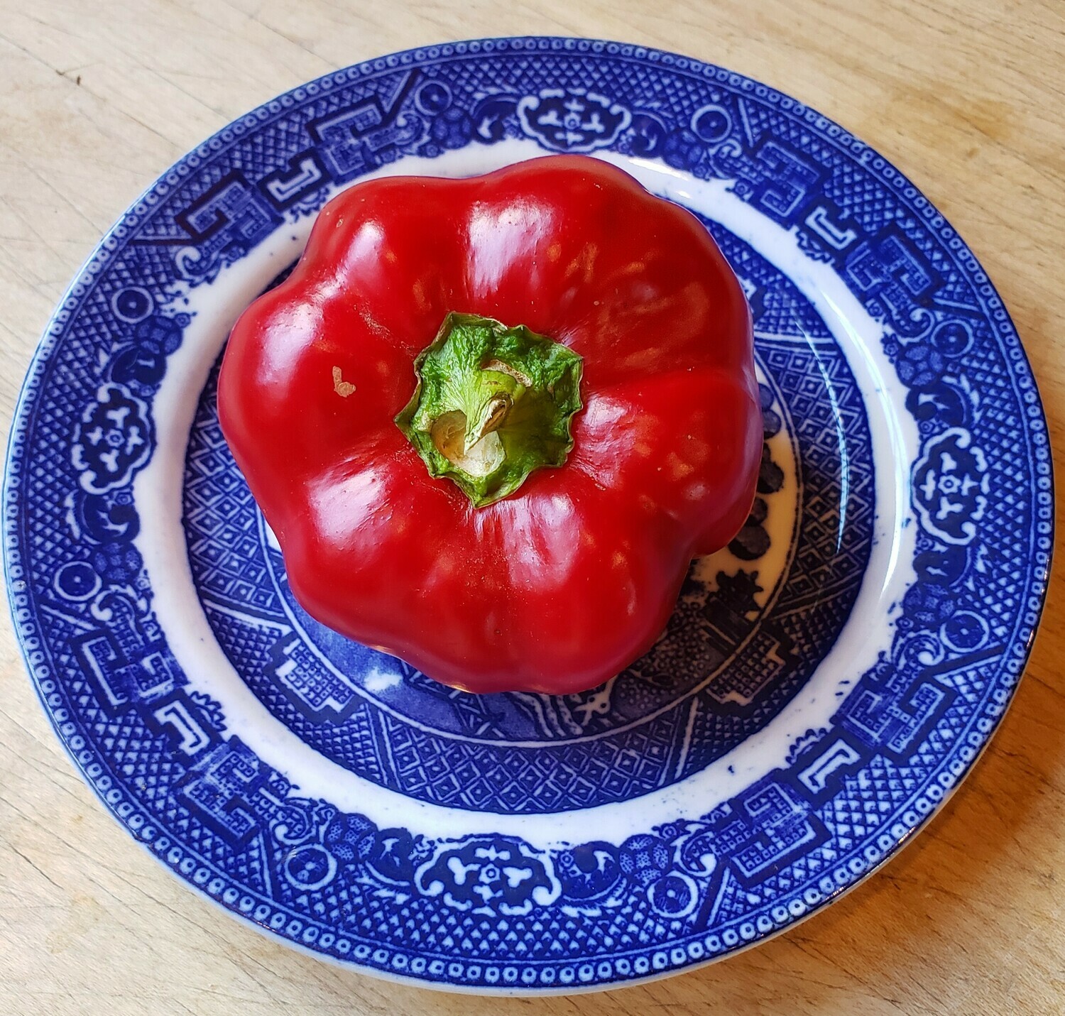 &#39;Sheepnose Pimento&#39;