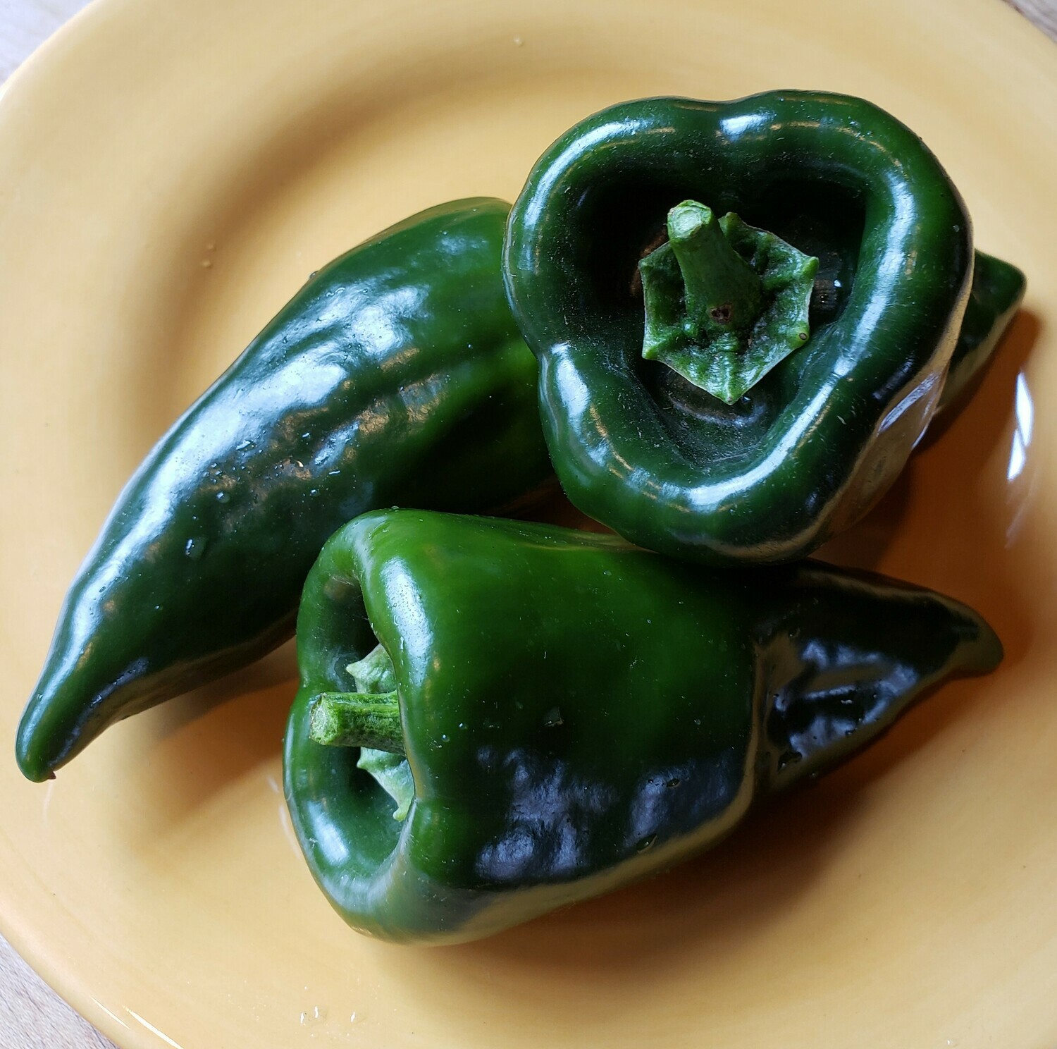 &#39;Poblano&#39;