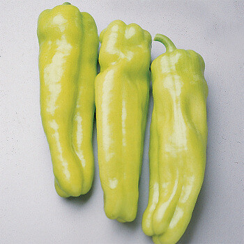 &#39;Cubanelle&#39;