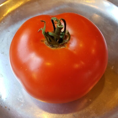 Red Tomato Plants