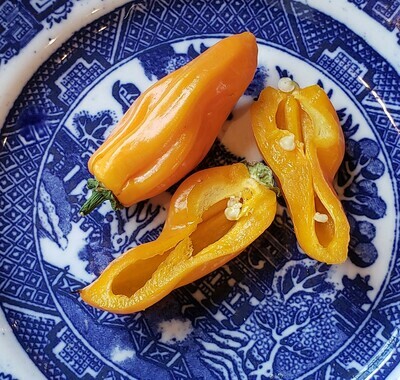 Hot Pepper Plants