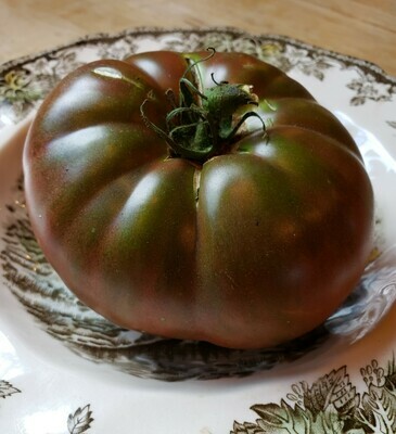 Black Tomato Plants