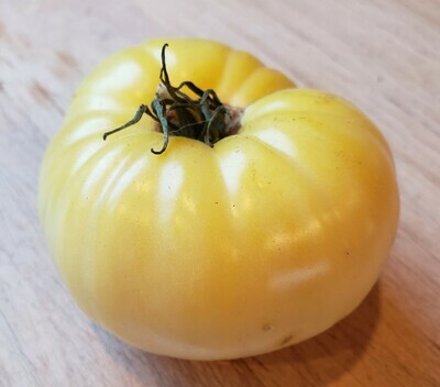 White Tomato Plants