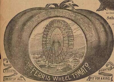 'Ferris Wheel'