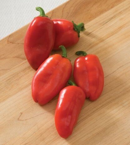 &#39;Lunchbox Red&#39;