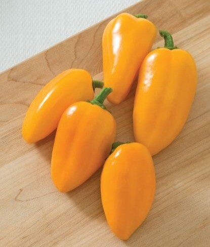 &#39;Lunchbox Yellow&#39;