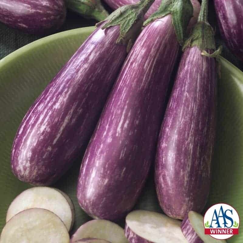 Eggplant - &#39;Fairy Tale&#39;