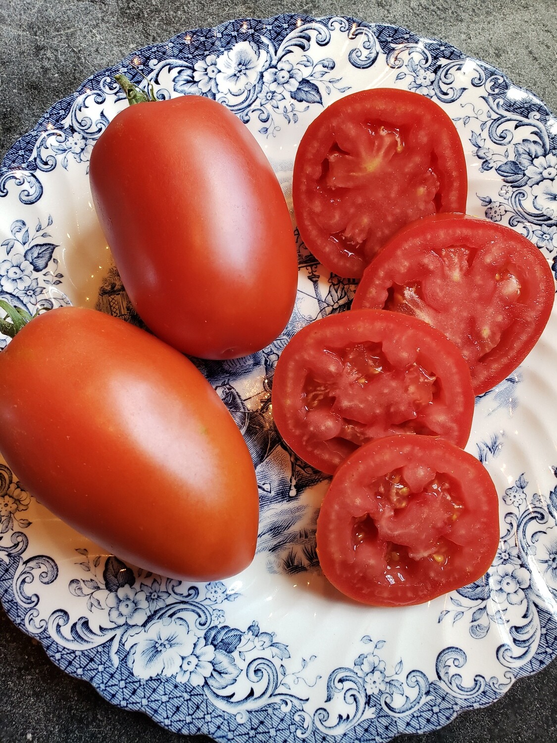 'Cipolla's Pride' Tomato