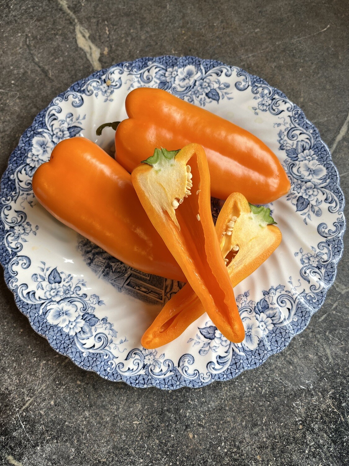 &#39;Cornito Giallo&#39;