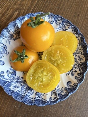 &#39;Livingston&#39;s Gold Ball&#39;