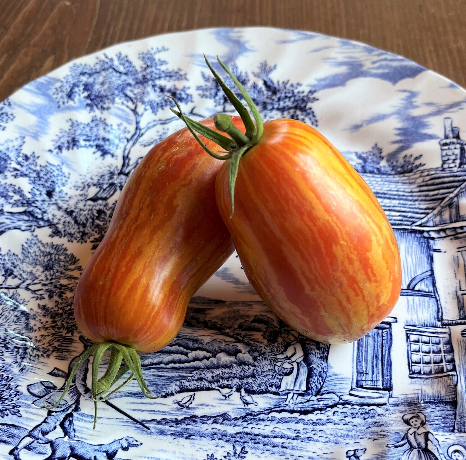 &#39;Speckled Roman&#39;