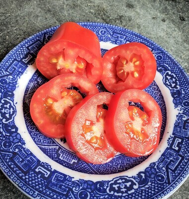 &#39;Andiamo&#39;