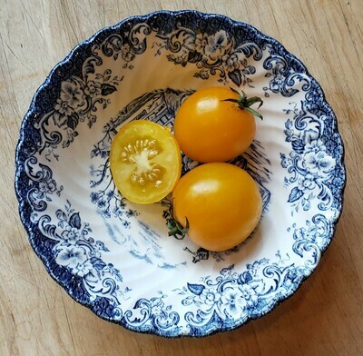'Hartman's Yellow Gooseberry'