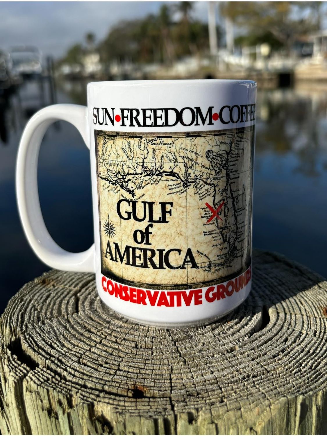 “GULF of AMERICA” Mug