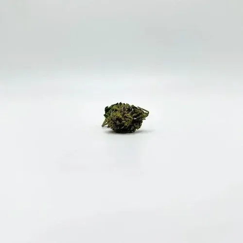 THCA - Small Flower - Headband