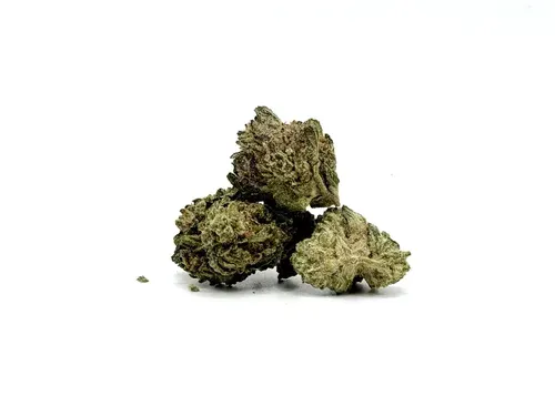 THCA - Small Flower - Pompei