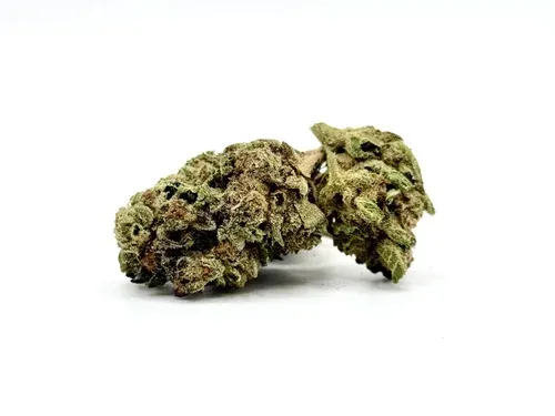 THCA - Small Flower - Chocolatina