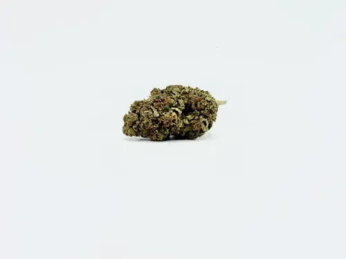 THCA - Small Flower - Gelato 41
