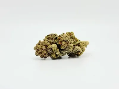 THCA - Small Flower - Biscotti