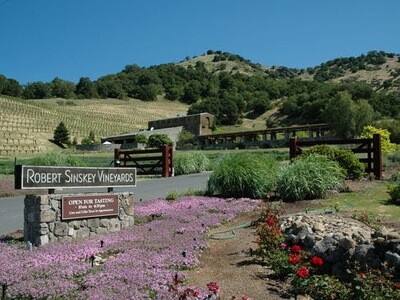 Robert Sinskey Vineyard