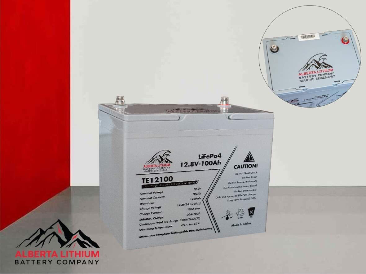 NEW!! 12V 100Ah Deep Cycle Bluetooth LiFePO4 Battery