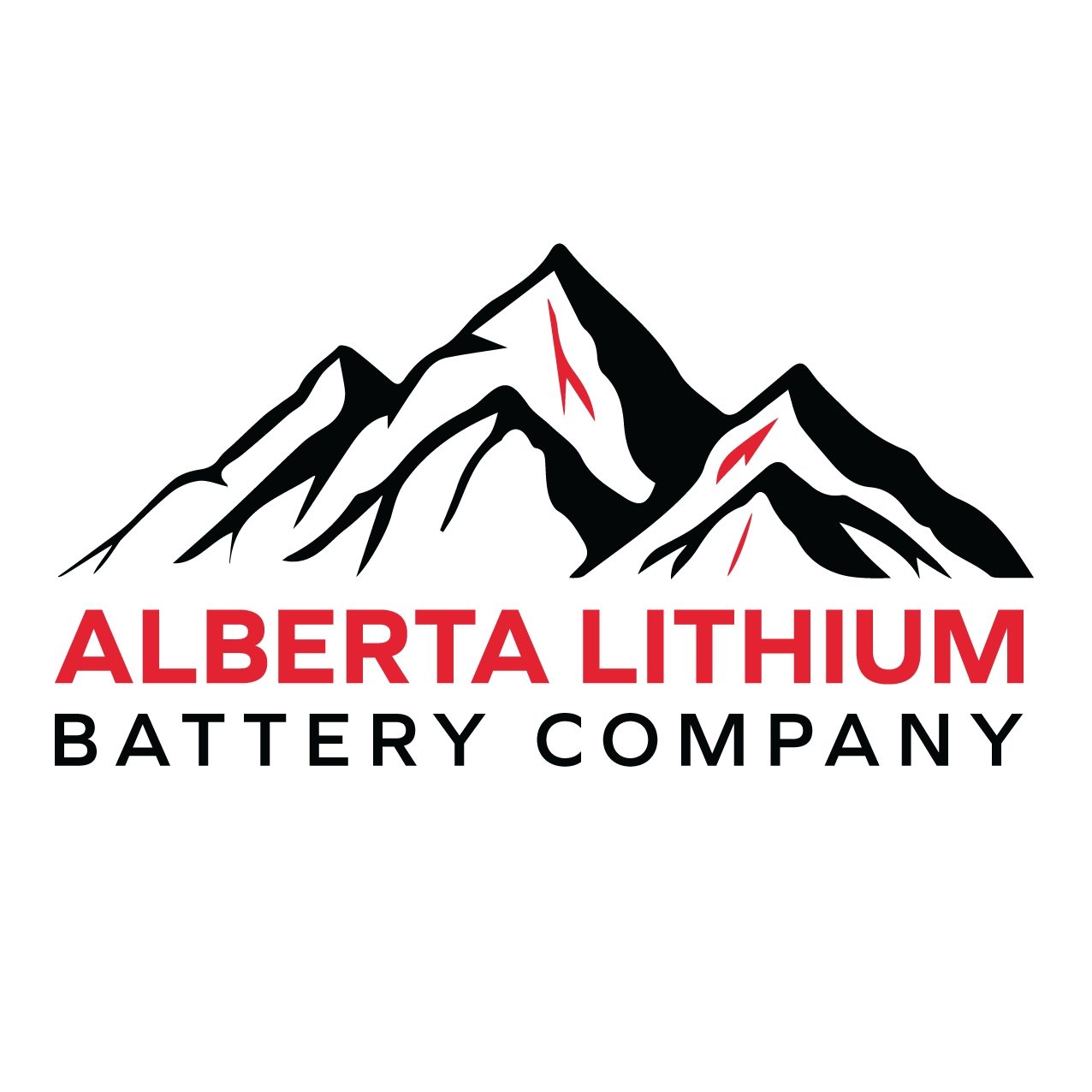 12V 60 Amp Charger / Converter LiFePO4