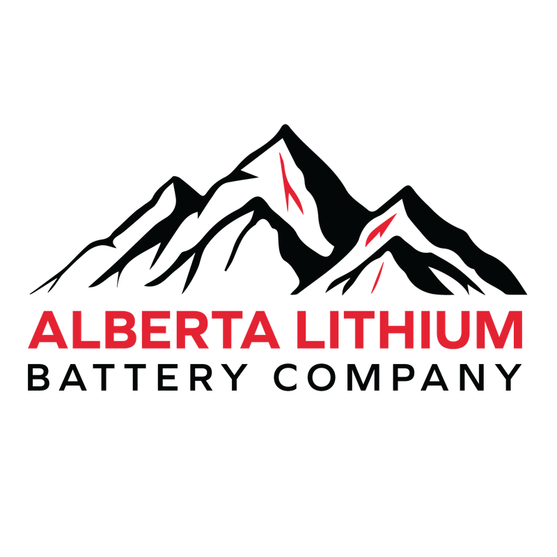 12V 60 Amp Charger / Converter LiFePO4