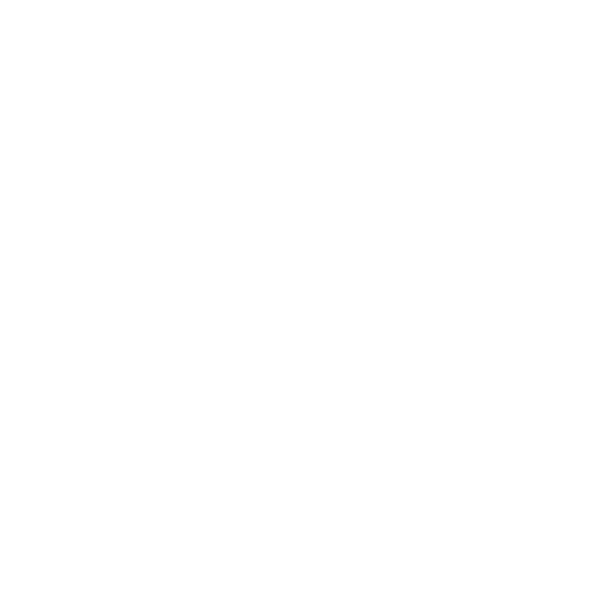 SMALL TOWN GIRLS BOUTIQUE