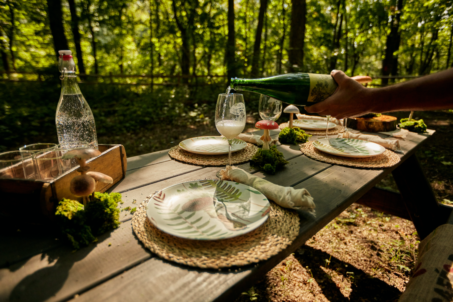 Picnic Luncheon Experience