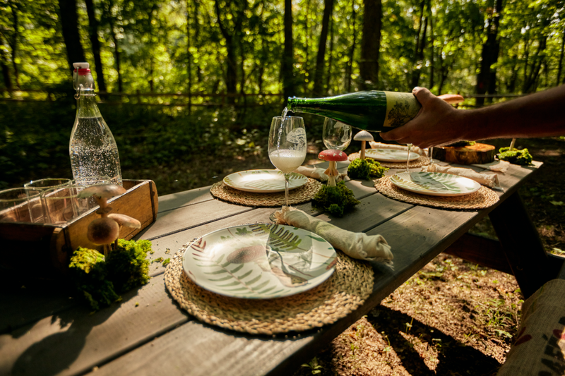 Picnic Luncheon Experience