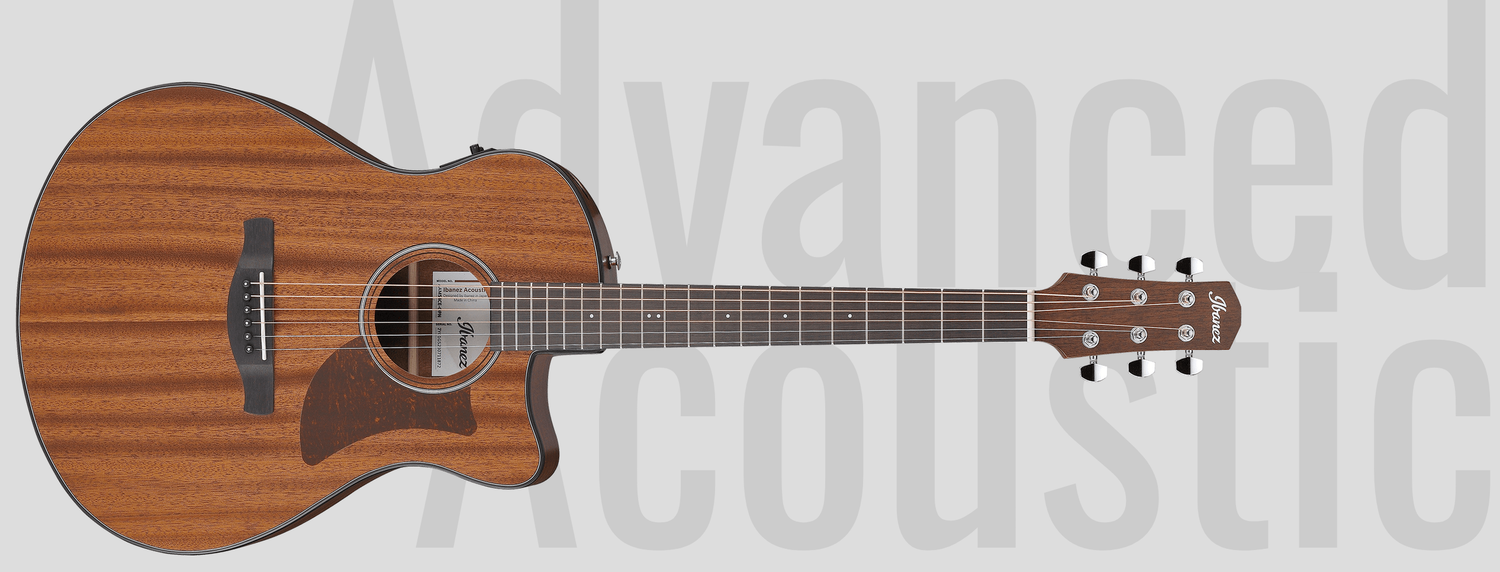 Ibanez AAM54CEOPN