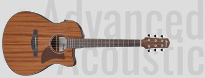 Ibanez AAM54CEOPN