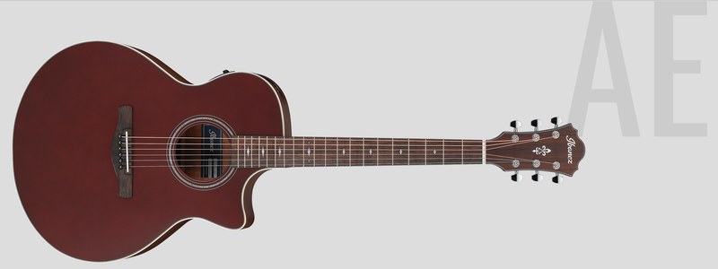 Ibanez AE100BUF