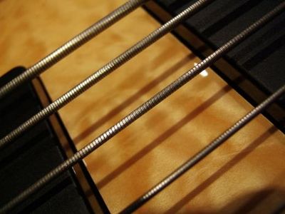 Bass