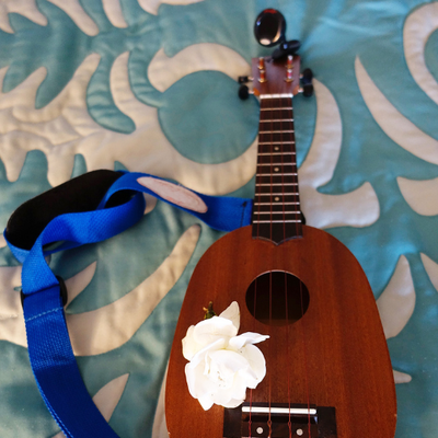 Ukulele Accessories (Strings, Bags, Etc.)