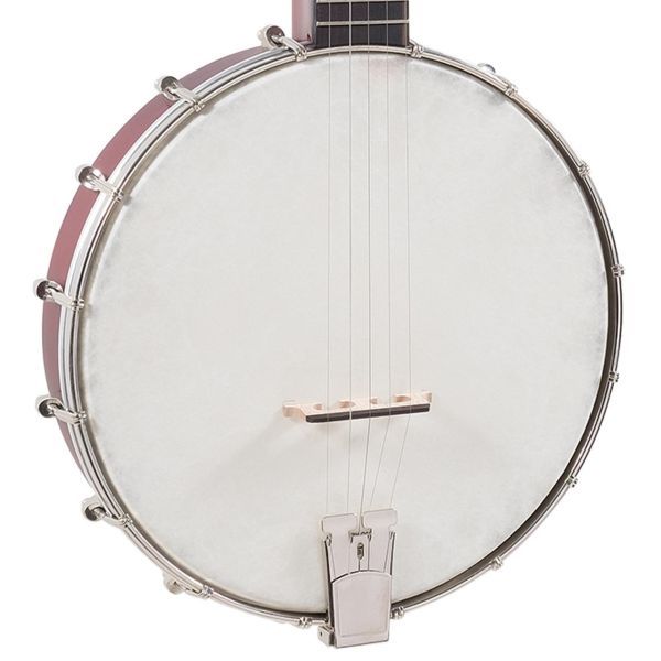 Recording King Dirty 30s Open Back Banjo - RKOH-05