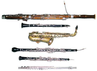 Woodwind Instruments