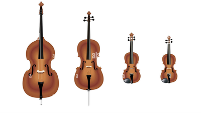 Stringed Instruments