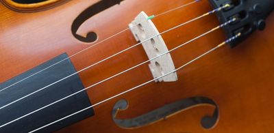 Violin