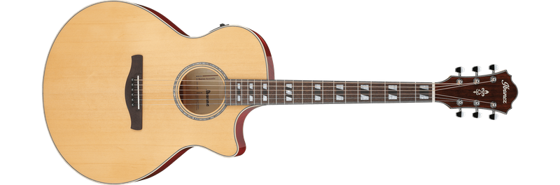 Ibanez AE170NTR