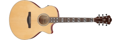 Ibanez AE170NTR