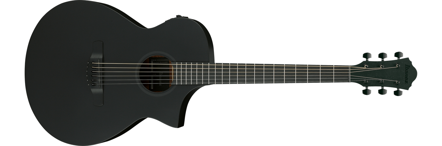 Ibanez AEWC621BOT
