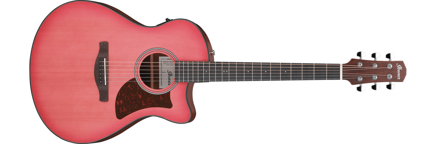 Ibanez AAM50CECRO